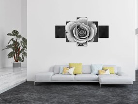 Obraz róży (125x70 cm)