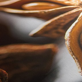 Obraz - Anyż (125x70 cm)