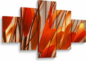Obraz płatków kwiatów (125x70 cm)