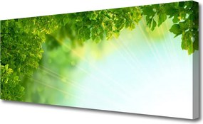Obraz canvas Botaniczny Detal Liści