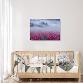 Obraz na szkle - Krajobraz z polami tulipanów (70x50 cm)