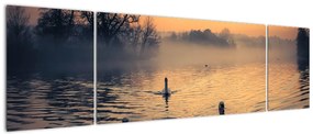 Obraz łabędzi na wodzie we mgle (170x50 cm)