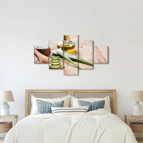 Obraz - Aloes (125x70 cm)