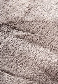 Dywan pluszowy Leon Villeroy &amp; Boch jasno szary 200 cm x 290 cm