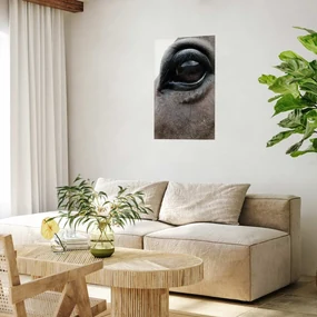 Plakat Szczere oczy 40x60 cm bez ramy bez marginesu ARTGEIST B