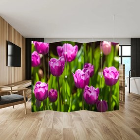 Parawan - Tulipany na łące (210x170 cm)