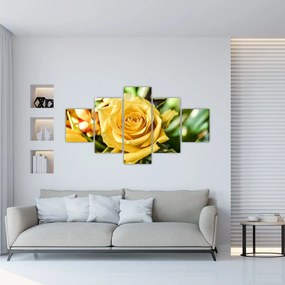 Obraz róży (125x70 cm)