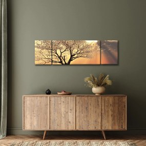 Obraz drzewa na łące (170x50 cm)
