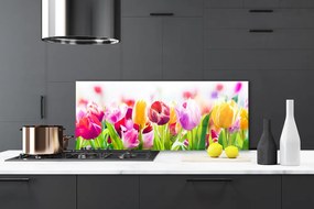 Szkło nad Blatem Tulipany W Porannym Słońcu