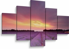 Obraz - Pole lawendy (125x70 cm)