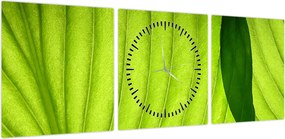 Obraz - Szczegół zielonego liścia (z zegarem) (90x30 cm)