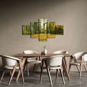 Obraz - las jesienią (125x70 cm)