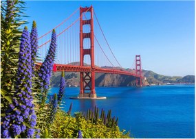 Obraz - Most Golden Gate, San Francisco (70x50 cm)