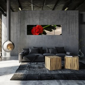 Obraz - Fortepian i róże (170x50 cm)