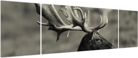 Obraz - Jeleń (170x50 cm)