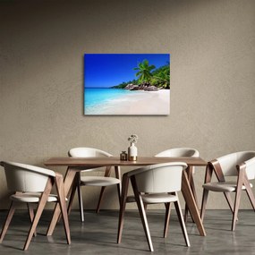 Obraz plaży na wyspie Praslin (70x50 cm)