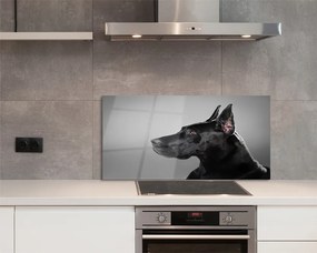 Panel szklany do Kuchni Elegancki Czarny Pies