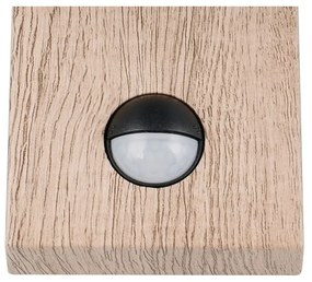 Zewnętrzna lampa ścienna (wysokość 33 cm) Sambesi – Trio