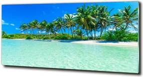 Foto obraz szklany Tropikalna plaża