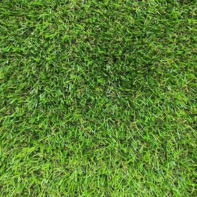 Dywan sztuczna trawa Bermuda, 100 x 200 cm, 100 x 200 cm