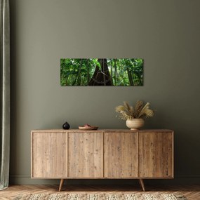 Obraz - Korzenie drzewa (z zegarem) (90x30 cm)