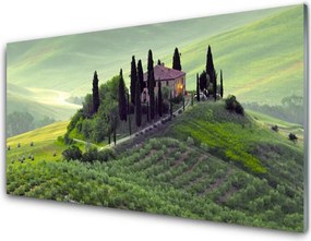 Panel Szklany Sielska Łąka z Drzewami