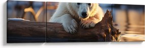 Obraz - Niedźwiedź polarny (170x50 cm)