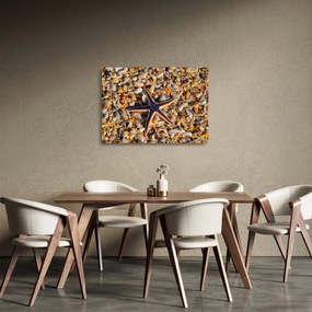 Obraz na szkle - rozgwiazda (70x50 cm)