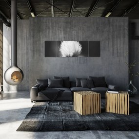 Obraz - Czarno-biała trawa bawełniana (170x50 cm)
