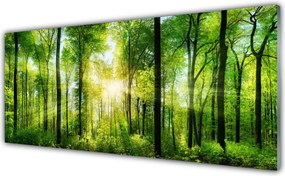 Panel Kuchenny Ścieżka Wśród Drzew