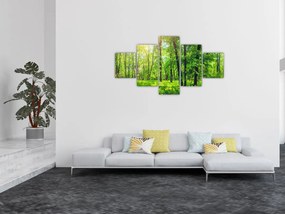 Obraz - Wiosenny las liściasty (125x70 cm)