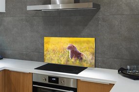 Panel szklany do Kuchni Kot w Trakcie Polowania