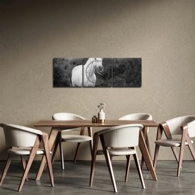 Obraz białego konia na łące, czarno - biały (z zegarem) (90x30 cm)