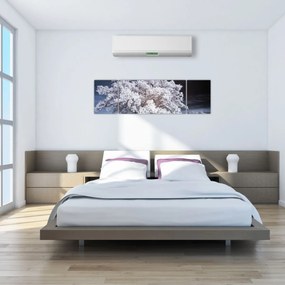 Obraz - Śnieżnobiałe drzewo (170x50 cm)