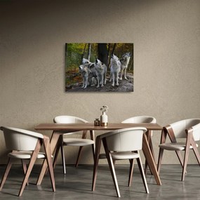 Obraz na szkle - Wilki na skale (70x50 cm)