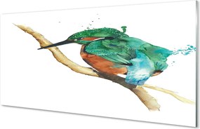 Panel Szklany Artystyczna Ilustracja Papugi