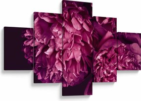 Obraz - Kwiaty piwonii (125x70 cm)
