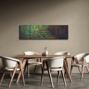 Obraz - Detal sosny (170x50 cm)