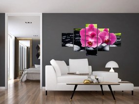 Obraz - Różowe orchidee z liściem palmy (125x70 cm)