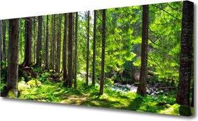 Obraz drukowany na płótnie Gęstwina Leśnej Natury