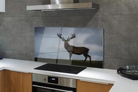 Panel nad Blat Kuchenny Jeleń w Nocnej Scenerii