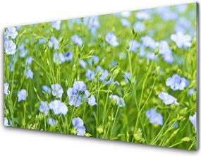 Panel Kuchenny Kwiaty W Polnej Trawie