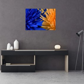 Obraz na szkle - szczegółowy obraz kwiatów (70x50 cm)