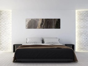 Zdjęcie z Parku Narodowego Yosemite Valley, USA (170x50 cm)