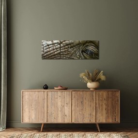 Obraz - Zbliżenie na stare oko słonia (z zegarem) (90x30 cm)