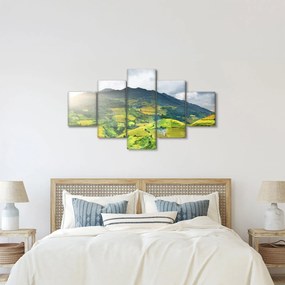 Obraz plantacji (125x70 cm)