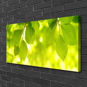 Obraz na płótnie Zielone Liście w Stylu Modern