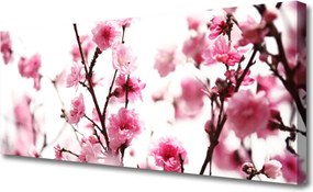 Obraz na płótnie Kwitnące Gałązki o Poranku