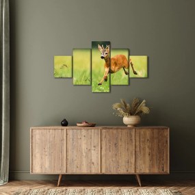 Obraz - Sarna (125x70 cm)