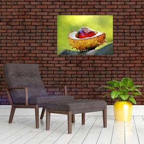 Obraz na szkle - kasztanowce (70x50 cm)
